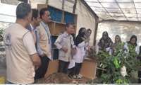  بازدید نمایندگان کمیساریای عالی سازمان ملل متحد با همراهی"رضا رمضانی مقدم کارشناس آموزش اتباع اداره کل" از کارگاه آموزشی ویژه اتباع خارجی درمرکزآموزش فنی وحرفه ای شماره ۲شهیدنعمتی مشهد. ����️رشته مهارتی "پرورش گیاهن آپارتمانی" با مربیگری آقای خیابانی