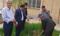  کاشت نهال مهارت در فرمانداری شهرستان خوشاب