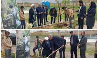 کاشت نهال یادبود شهیدان جنگ تحمیلی آمریکایی_صهیونی در مرکز آموزش فنی حرفه ای زبرخان 